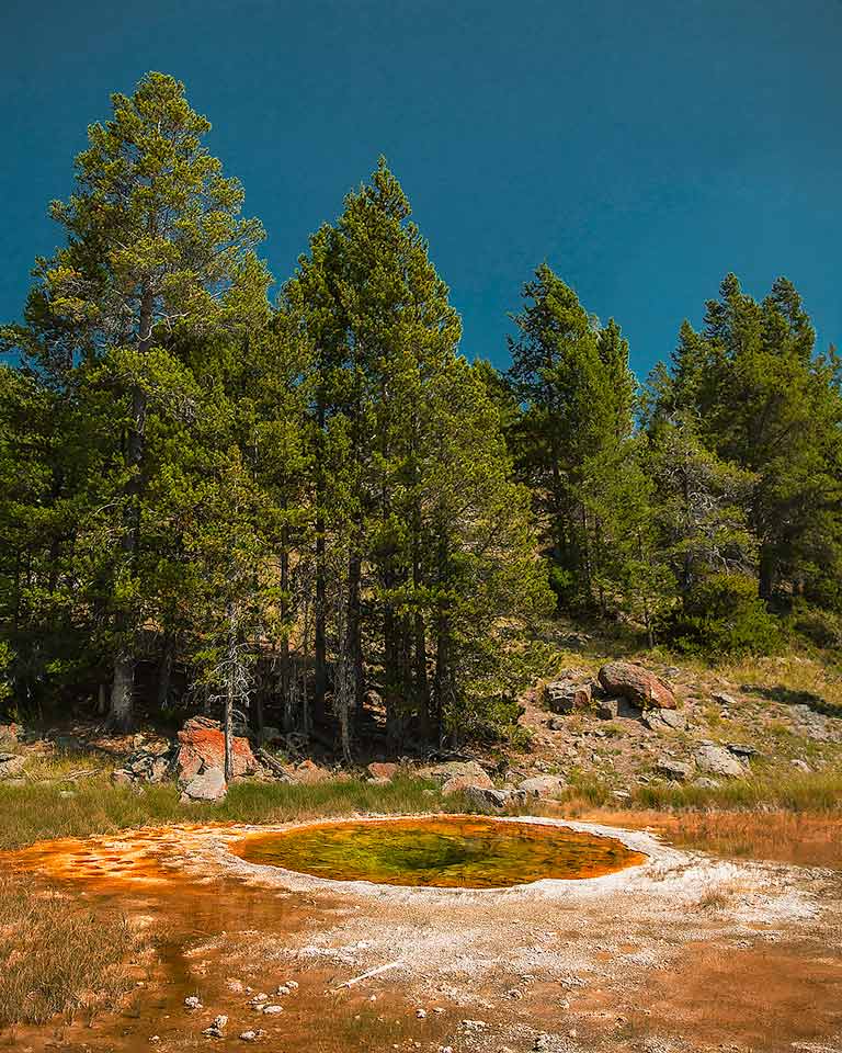 yellowstone park photography
