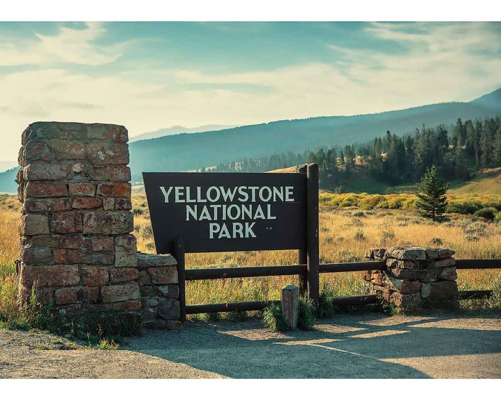 yellowstone park photography