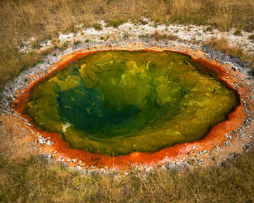 best photography virginia stafford