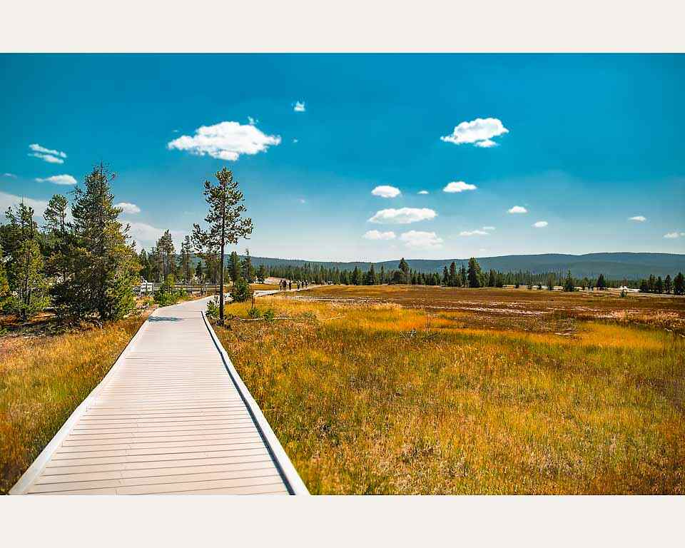 photographer virginia 