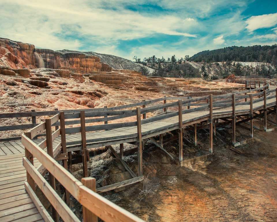 background for portrait photography