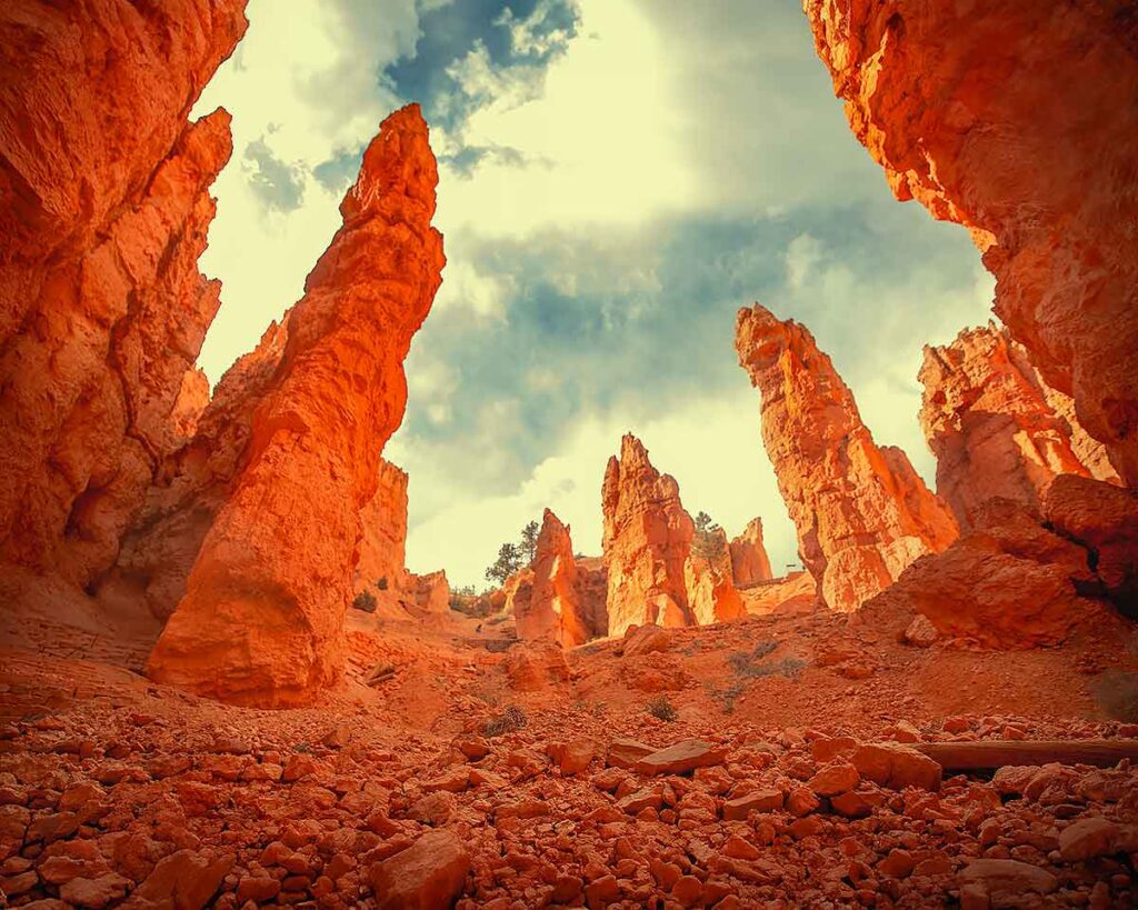 photographer stafford