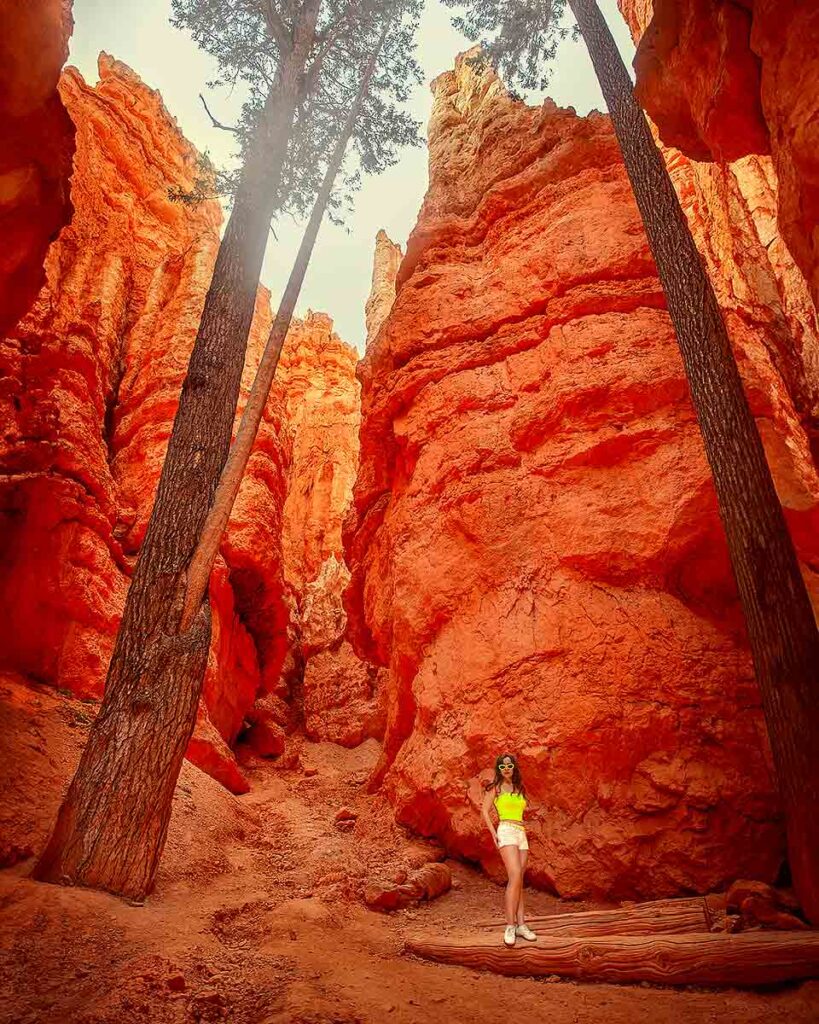 The Navajo Loop Trail 