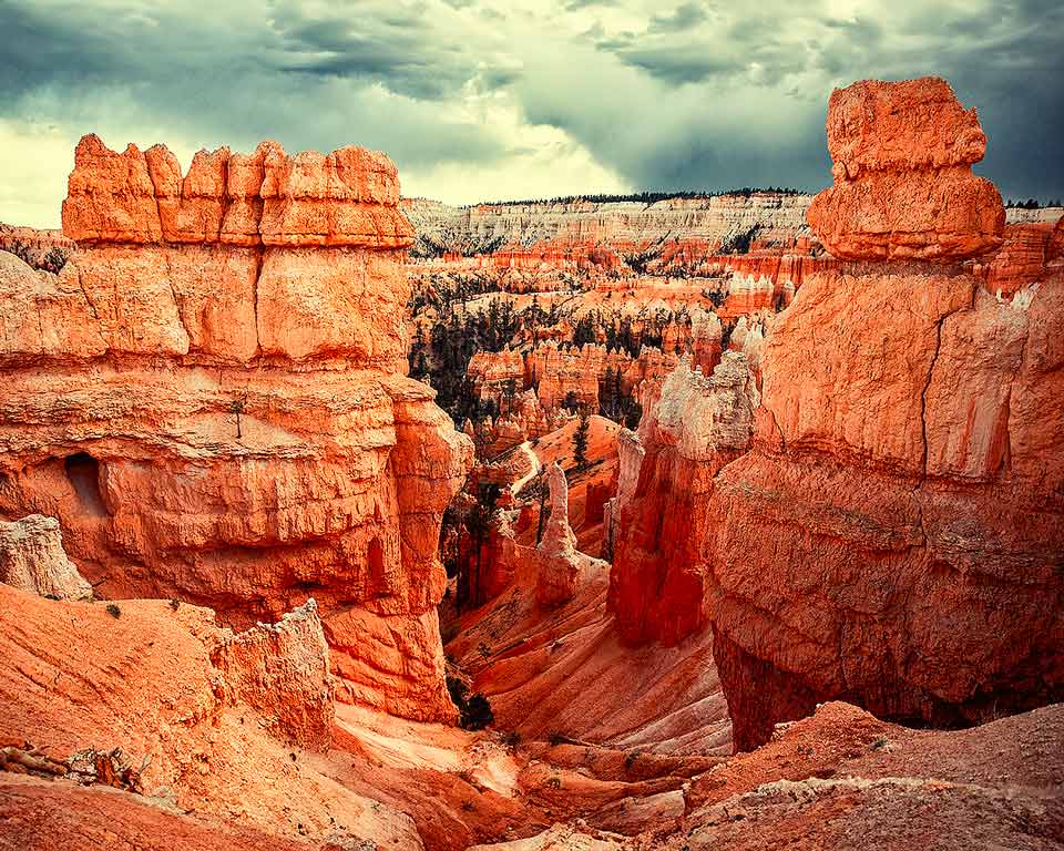 virginia photographer