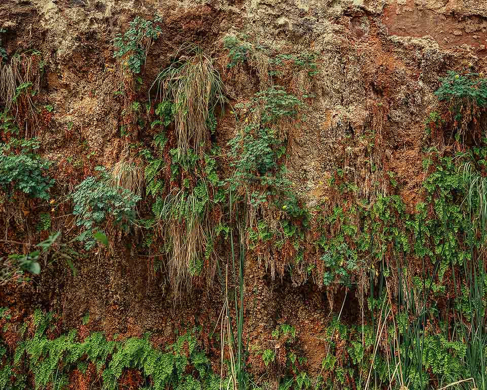 hanging gardens in Zion
